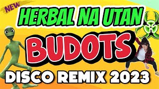 HERBAL NA UTAN  VIRAL BUDOTS REMIX 2023  DJ JOHNREY REMIX [upl. by Eden]