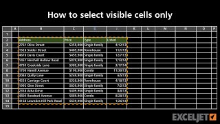 How to select visible cells only [upl. by Kape]