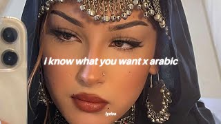 i know what you want x arabic ريمكس  شيرين  صبرى قليل tiktok song [upl. by Grassi684]