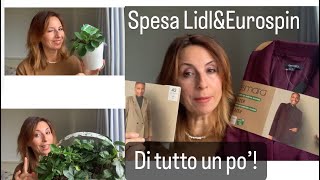 SpesaLidlampEurospin🎄Di tutto un po’ 🌟 [upl. by Mya456]