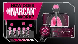 How Does NARCAN Nasal Spray Work [upl. by Ayocal]