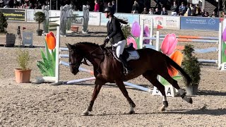 El paso eh z Finale interclubkampioenschap voor paardenhumaniora woutershof kuringen [upl. by Debbi]