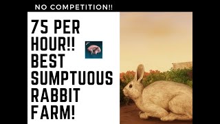 Sumptuous Rabbit Best Farm Updated 2024 [upl. by Acirret]