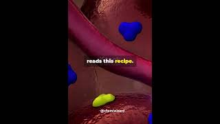 Do you knowUnderstanding tRNA mRNA and rRNA  CHEMIWIZARD🔬 trendingshortschemistry chemiwizard [upl. by Pembroke]