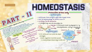 Homeostasis Partll ll What is Homeostasis The Ayu Learner ll Medical Physiology Lecture Video ll [upl. by Enelrad841]