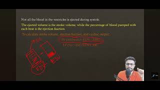 Ejection Fraction End Diastolic Volume stroke volume Exercise Physiology l Divyam Sir [upl. by Nyrem30]