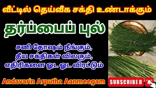 Dharbai pull benefits  significanceof Tharpaipul  Sanidosham neengaதரப்பைப்புல் பயன்கள் [upl. by Pollyanna665]