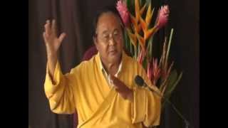 Sogyal Rinpoche  How to Help Those Who Have Died [upl. by Oranneg]