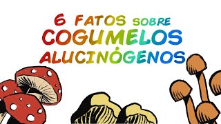 6 FATOS SOBRE COGUMELOS MÁGICOS E PSILOCIBINA [upl. by Ringsmuth56]