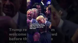 Donald Trump attends UFC 309 at Madison Square Garden Shorts [upl. by Bing665]