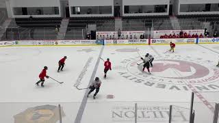 Utica Jr Comets NCDC Tryout Camp Highlights [upl. by Idnek323]