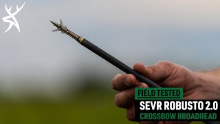 2021 Crossbow Broadhead Test amp Review SEVR Robusto 20 [upl. by Hujsak]