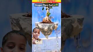 ऑक्सीजन प्लांट पॉड🪴🌳🪴 Oxygen Plant Pod shorts facts reels viralvideo youtube india recycle [upl. by Elery215]