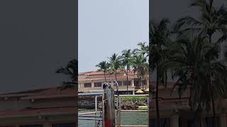 Goa miramar Beach shortsvideo [upl. by Sibella]