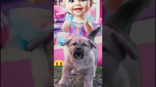 Dog and Babies Funny Videos short funny dog baby [upl. by Casandra622]