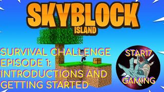 MINECRAFT SURVIVAL CHALLENGE Skyblock by Pickaxe Studios 1 [upl. by Polivy]