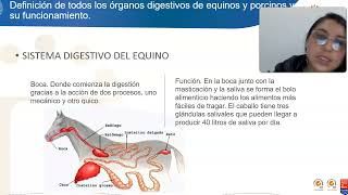 ANATOMIA Y FISIOLOGIA DE MONOGASTRICOS [upl. by Casper]