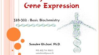 Trans Gene Part3 Gene regulation [upl. by Itida257]