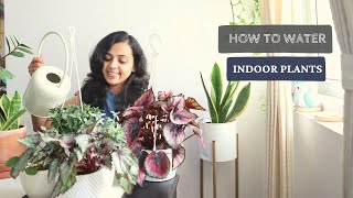 When amp How to Water Indoor Plants  Correct Way of Watering Indoor Plants [upl. by Marlow]