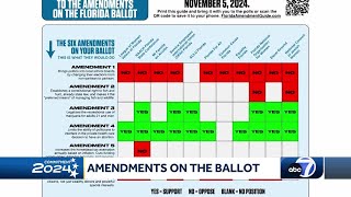 A voter guide to Floridas 2024 amendments [upl. by Ihcelek]