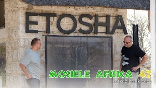 Mosiele Africa 47  Słoniowe olbrzymy [upl. by Tanah]