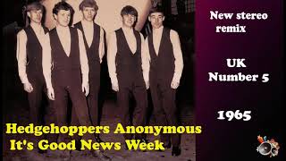 Hedgehoppers Anonymous Its Good News Week 2021 stereo remix [upl. by Inahpets]