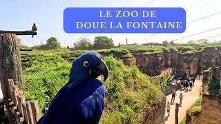 LE ZOO DE DOUE LA FONTAINE dans le Maine et Loire un joli zoo à visiter [upl. by Naimad400]