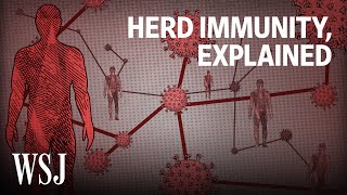 What It Would Take to Reach Herd Immunity  WSJ [upl. by Avi291]