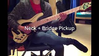 Dingwall John Taylor Signature Bass 5 String Demo Passive [upl. by Ardnayek]