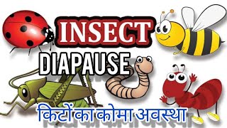 Insect Diapauseकीटों के सुसुप्तावस्था का अध्ययन MeaningTypesTerminologyExamples [upl. by Yentterb]