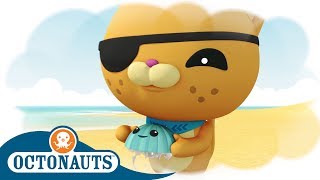 Octonauts  Kwaziis Stories  Cartoons for Kids  Underwater Sea Education [upl. by Tatman]