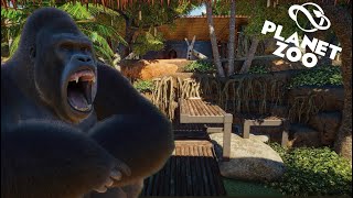 Planet Zoo Gorillas in Zamburo Zoo Ape Island [upl. by Snell]