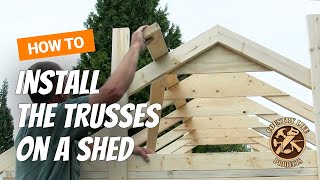 How to Build a Shed  How To Install Trusses  Video 6 of 15 [upl. by Kilk546]