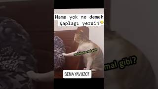 ŞAPLAGI YERSİN 👋🤣🤣 [upl. by Freya]