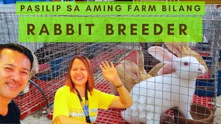 Best Rabbit Farm In The Philippines [upl. by Avivah]