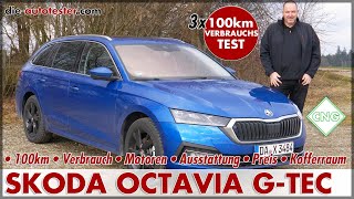 SKODA OCTAVIA GTEC 3 x 100 km Verbrauch Test  Erdgas CNG Combi Reichweite Review 2020 2021 Deutsch [upl. by Ahker]