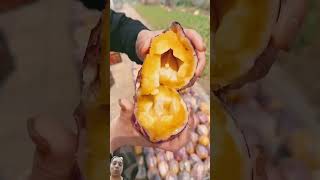 Delicious fruit eating 🤤🍑🍎 satisfying fruit fruitcutting harvest food [upl. by Geneva319]