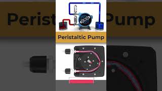 Peristaltic Pump Working Animation animation [upl. by Keisling]