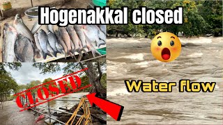 Hogenakkal closed ❌  fresh fish eating 😋 travelkannda  hogenakkalwaterfalls kannadafoodvlogs [upl. by Aenotna256]