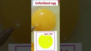 Difference between fertile and infertile eggs [upl. by Dorfman]