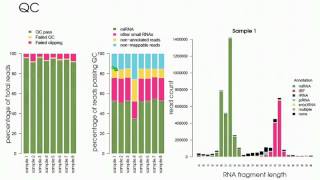 Quantitative MicroRNA Expression Analysis in Tissues and Body Fluids [upl. by Ahselat]