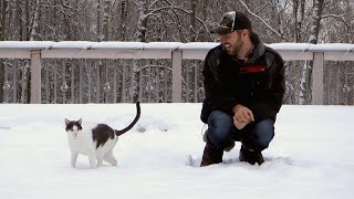 Cats In The Snow  Living in Alaska 93 [upl. by Ybocaj]