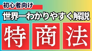 初心者向けにわかりやすく徹底解説。特定商取引法、特商法とは？ネットワークビジネスや副業で最も重要な法律 [upl. by Pulchi843]