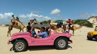 Genipabu Dunes and buggy ride Natal Brazil [upl. by Early797]