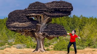 SHOCKING Harvesting Giant Ant Nest to Making Ant Eggs Cake  Surviving in the Forest [upl. by Lecroy14]