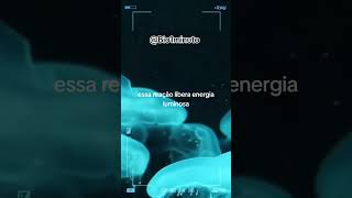 Bioluminescência biology 1minutevideo biological [upl. by Natasha]