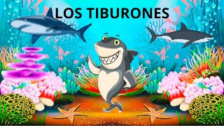 LOS TIBURONES PARA NIÑOSTODO SOBRE LOS TIBURONESCONCIENCIACIÓN SOBRE LOS TIBURONES [upl. by Ahsito940]