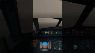 320 Landing at Wellington [upl. by Eidnarb]