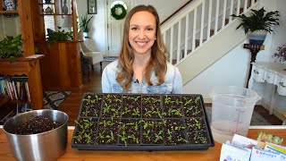 How to start seeds indoors with step by step instructions and demonstrations Northlawn Flower Farm [upl. by Stephan]