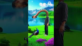 Artificial peacock water transport special effects  3D effect shorts youtubeshorts vfxhd 3d [upl. by Hirai]